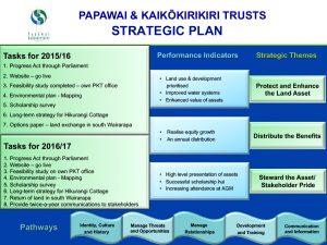 Papawai & Kaikokirikiri Strategic Plan