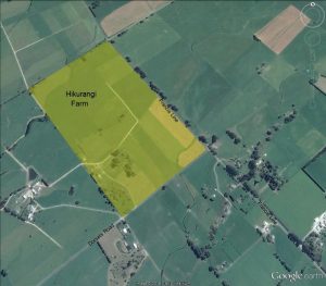Hikurangi Farm, Clareville