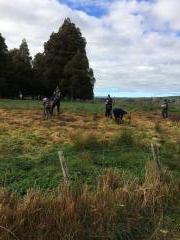 Tree planting 2018 9.1