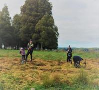 Tree planting 2018 9.1 (2)