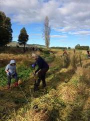 tree planting 2018 2