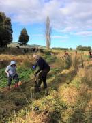 tree planting 2018 2 (2)