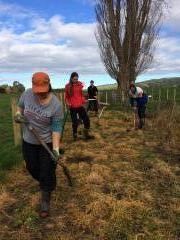 tree planting 2018 5