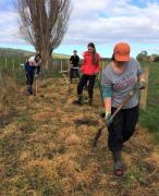 tree planting 2018 5 (2)