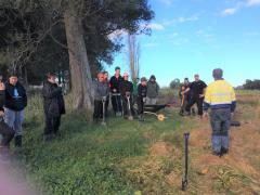 tree planting 2018 Don Bell