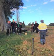 tree planting 2018 Don Bell (3)