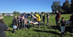 Picnic Bush - Papawai Farm