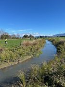 Tilsons Stream 5