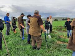 Tree planting 26 Jun debriefing